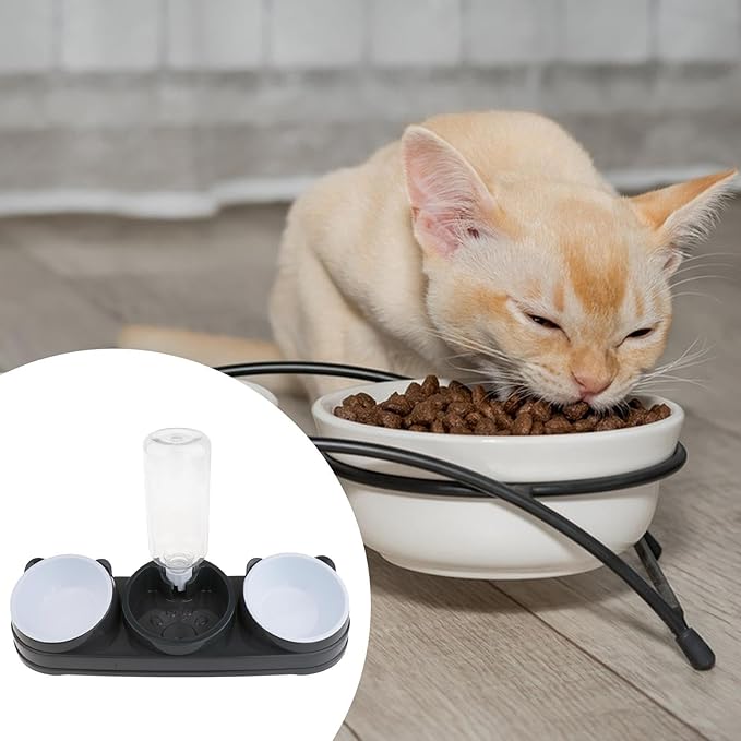 Elevated Double Bowl Pet Feeders with Automatic Water Dispenser Antislip Base for Dog Cats Daily Feeding Watering Supply - Pink - Version