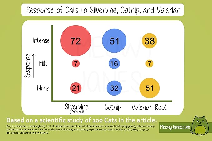 Meowy Janes Silver Vine for Cats - 45 Grams of Powder - All Natural Catnip Alternative