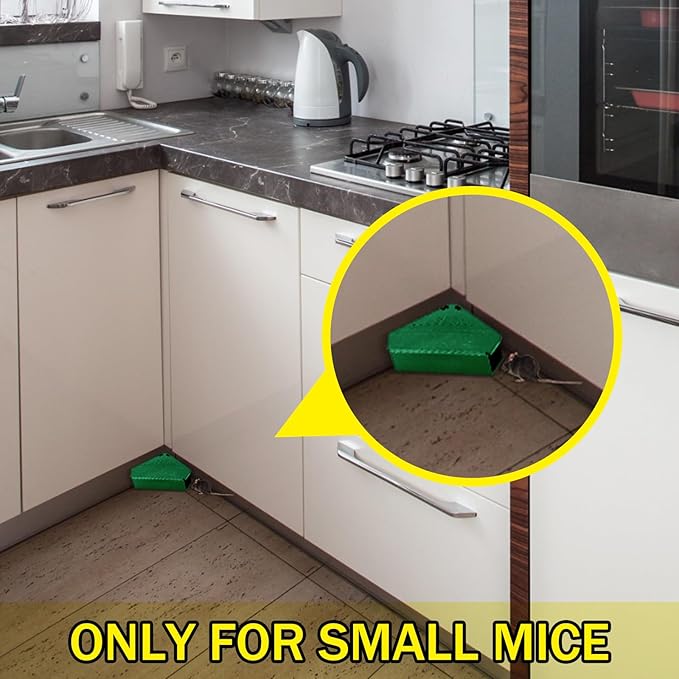 Qualirey Mice Station with Key Triangle Mouse Station Reusable Rodent Trap Box, Keeps Children and Pets Safe Indoor & Outdoor Suitable for Small Mice(Green,24 Pcs)