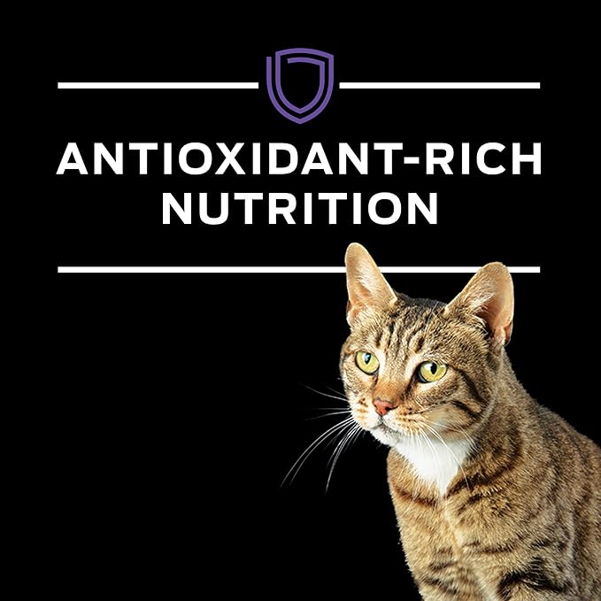 Purina Pro Plan Veterinary Diets DM Dietetic Management Feline Formula Dry Cat Food - 10 lb. Bag
