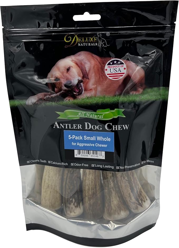5-Pack Small Whole Elk Antler Dog Chews, 5-7+ Inches, Long-Lasting Natural Dog Chews for Aggressive Chewers, Teeth Cleaning Antler Treats for Small Dogs Under 20 lbs