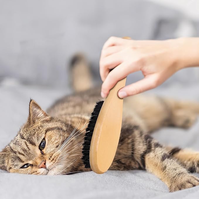 HEMOTON Wood Handle Boar Bristle Clothes Dust Brush with Long Handle for Cat Shedding and Shoe Polishing, Natural Bristle Grooming Brush for Pet Hair and Laundry Cleaning