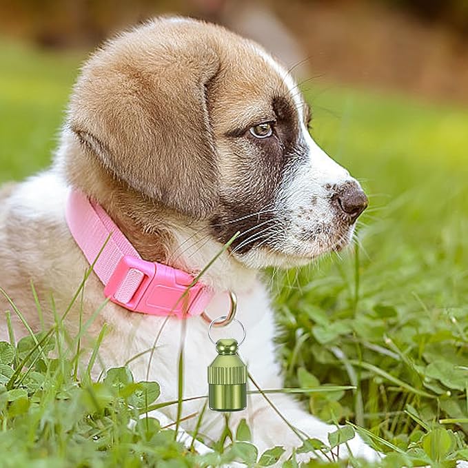 5pcs Aluminum Alloy Dog Id Tags Pet Collar Anti-Lost Address Tags Green for Puppy and Dog Supplies