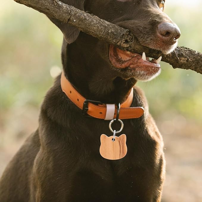 UKCOCO Wooden Cat Head Pet Id Tags 3pcs Dog Collar Charms Blank Dog Name Tags for Pets Sturdy Supplies