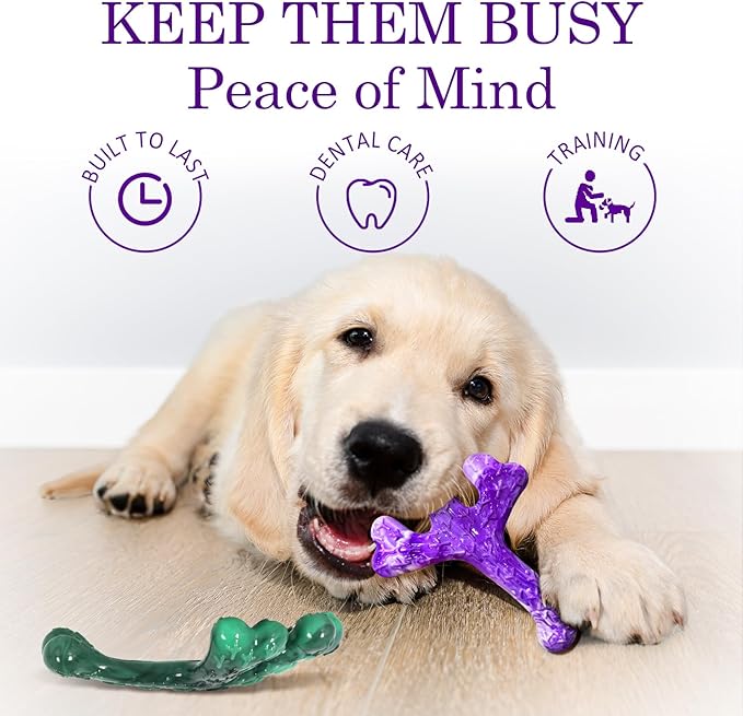 Dog Toys for Aggressive Chewers: Dog Chew Toys 6 Pack Beef Flavored Indestructible Toy, Easy to Use & Clean, Tough Nylon Chew Bone for 20-90 lbs Medium and Large Dogs