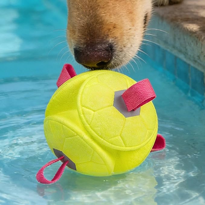 Dog Toy Balls,with Rope Chew Pet Supplies | Small Dog Balls Funny Pet Toys - for Small Large Breed Aggressive Chewers Indoor Outdoor Enrichment Stimulation Boredom