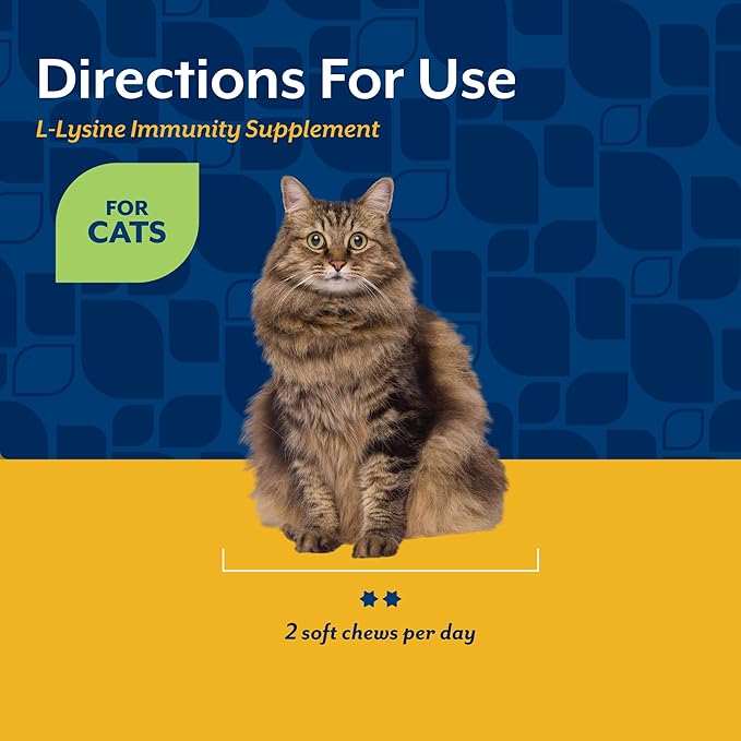 NaturVet L-Lysine Immune Support Plus Antioxidants Cat Supplement – Helps Support Eye Health, Immune System for Cats – Includes Amino Acids – 60 Ct. Soft Chews, 30-Day Supply