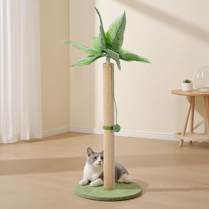 33" Tall Cat Scratching Posts for Indoor Cats, Cat Scratching Post Premium Basics Kitten Scratcher Sisal Scratch Posts with Hanging Ball, All Ages with Reinforced Stable Base, Green