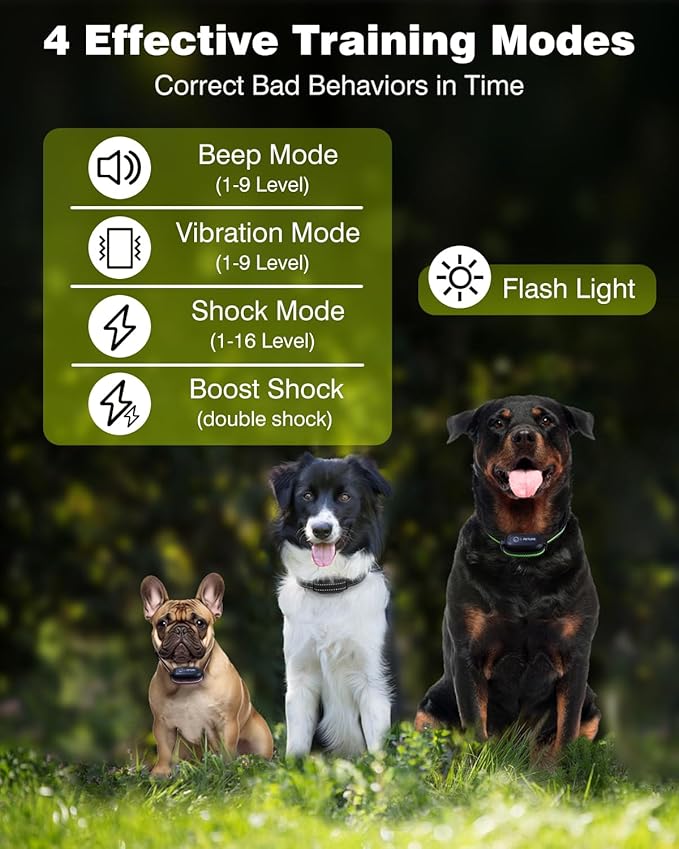 3 Dogs Shock Collar with Remote 3 Pack-3300FT Dog Training Collar with Fashlight, IPX7 E Collar with Double Shock for Small Medium Large Dogs(5-150lbs)-4 Training Modes, Adjustable Strap, Rechargeable
