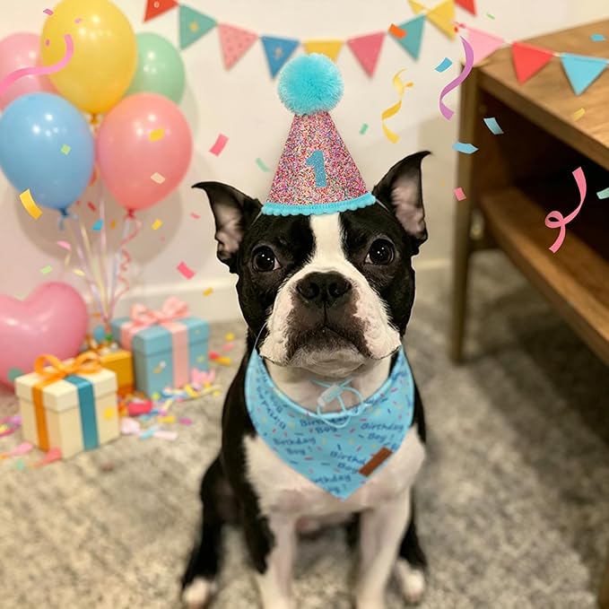 PTDECOR Dog Birthday Party Supplies, Blue Birthday Boy Bandana, Glitter Dog Birthday Hat with Numbers for Medium Large Dogs Pets (Large)