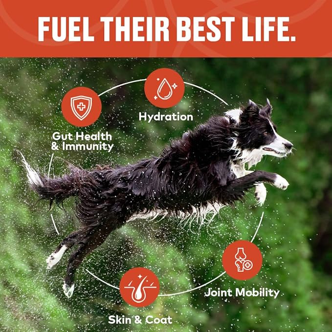 Furvor Beef & Chicken Bone Broth Concentrate for Dogs - Collagen Protein Supplement for Digestion, Mobility, Coat, Immune System, Joints - Healthy Dog Food Topper - Human Grade (2pk, 60 Servings)