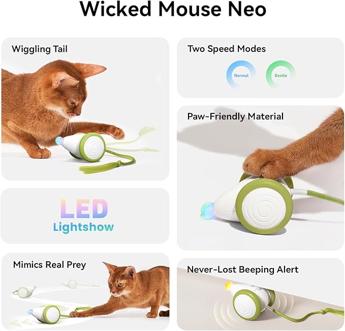 Cheerble Interactive Cat Toys for Indoor Cats, Automatic Moving Kitten Toys, Wicked Mouse Neo Cat Toy with Tail & Lights, Pet Cat Supplies, Rechargeable Cat Toys for Bored Indoor Adult Cats