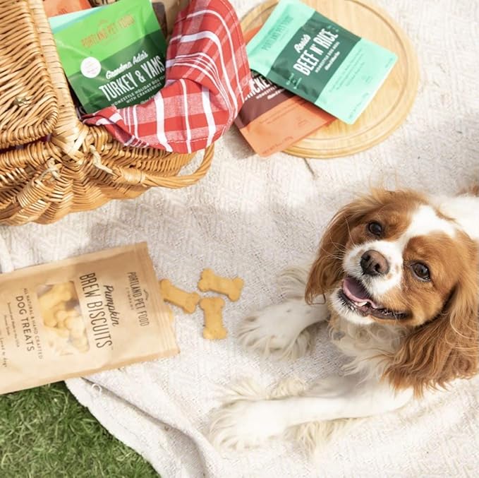 CRAFTED BY HUMANS LOVED BY DOGS Portland Pet Food Company Pumpkin Brew Biscuit Dog Treats (1 Pack, 5 oz Bag) – All Natural, Human-Grade, USA-Sourced and Made