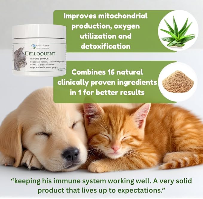 Vitality Science Celloquent for Cats | Enhanced Immune Support Formula | Maintains Proper Gut pH | Boosts Organ Function | Aids Cleansing and Healthy Inflammatory Response