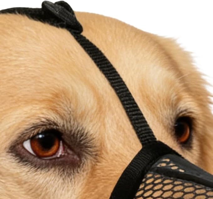 Muzzle for Large Sized Dog | Soft Anti-Bark Reflective - Anti-Bite Soft Muzzle for Dogs - for Small Medium Large Puppy Stop Scavenging Grooming Barking Vet Visit