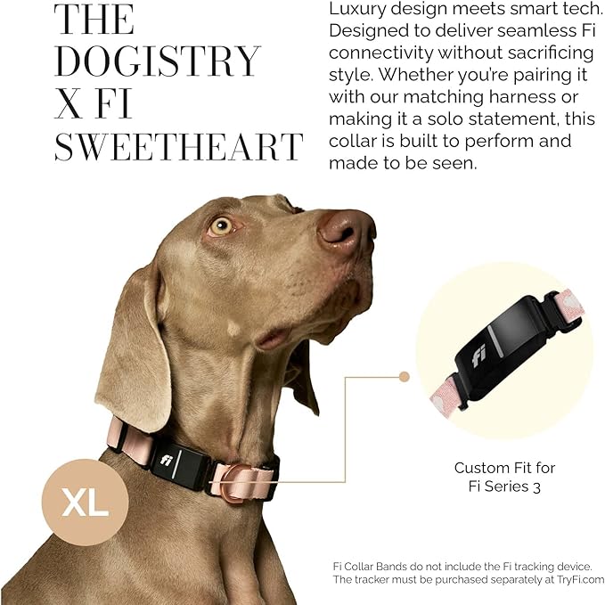 The DOGISTRY - Fi Sweetheart Collar - Luxury Design Meets Smart Tech - Crafted for Fi Series 3/3+ - Seamless Style & Craft