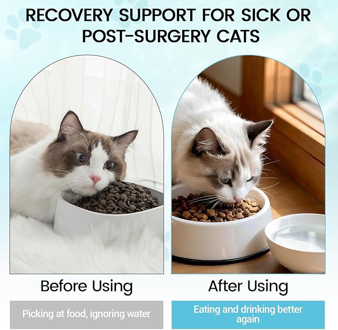 Recovery & Energy Support for Cats | Cat Appetite Stimulant & Hydration Supplement, Cat Electrolytes and Weight Gainer for Sick, Senior, Post-Surgery | Boosts Eating, Drinking&Strength in Weak Felines