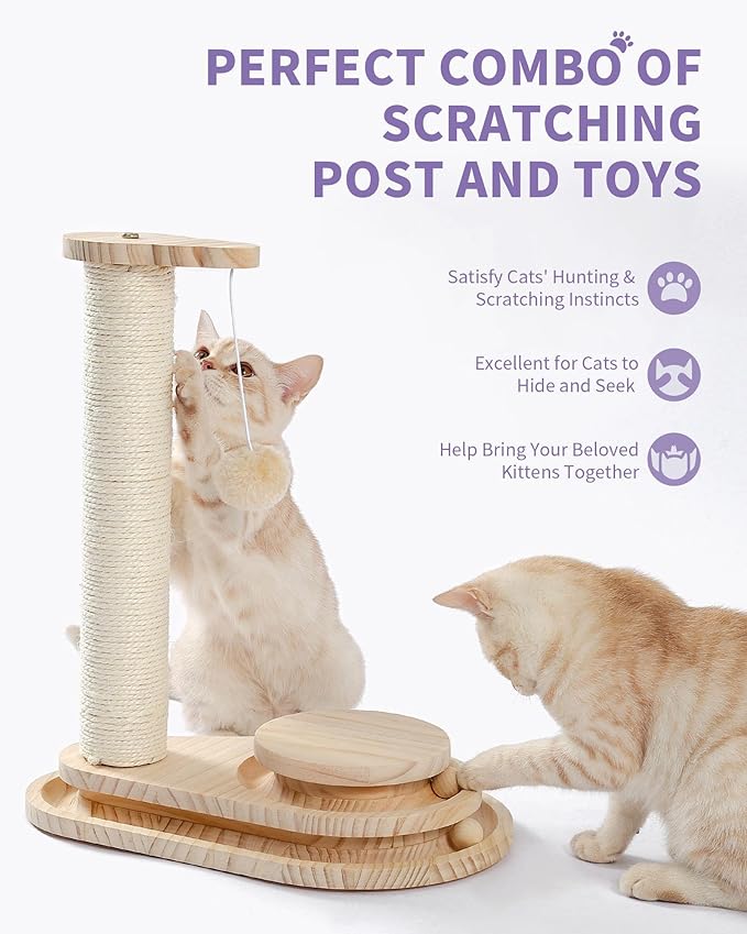 Multi-Functional Cat Scratching Post with Grooming Brush, Cloud Perch & Ball Track – Compact Cat Activity Toy for Small Cats