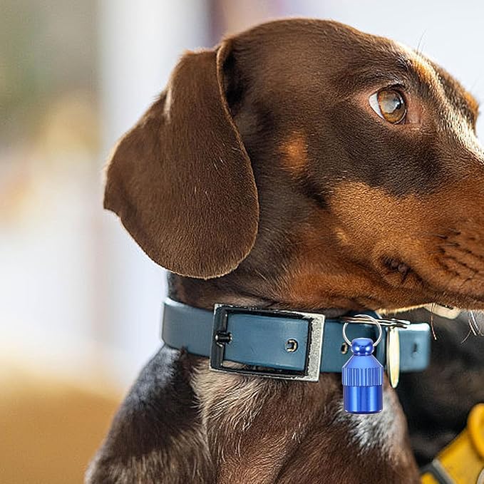 STOBAZA 5pcs Aluminum Alloy Pet Id Tags Blue Anti-Lost Collar Hanging Name Tags for Dogs and Puppies with Address Holder for Pet Supplies