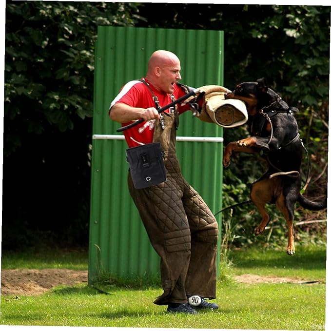 minkissy Dog Treat Training Pouch Portable Snack Bag Black 13x6x18cm Puppy Training Supplies Waist Pack for Outdoor Pet Treat Storage