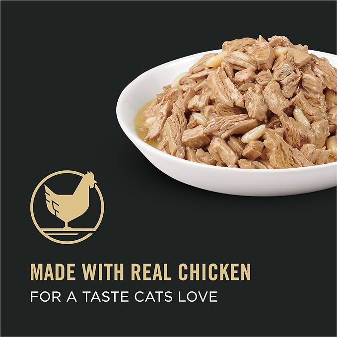 Purina Pro Plan Complete Essentials High Protein Cat Food Gravy,Wet Cat Food Chicken Entree - 5.5 oz. Cans,(Pack of 48)
