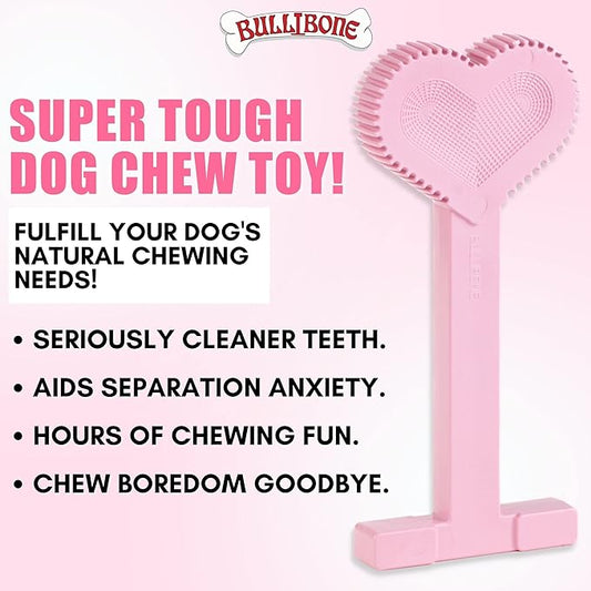 Bullibone Nylon Dog Chew Toy for Aggressive Chewers - Dental Hygiene Bone with Peppermint Flavor, Durable Tough Chew Toys for Small Dogs, Indestructible Dog Bone - 2 Pack