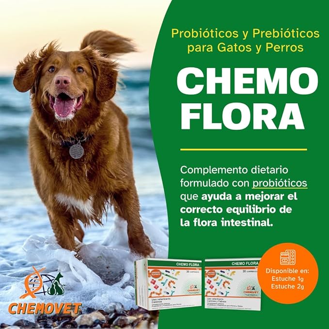 Chemo Flora Probiotic and Prebiotic Supplement for Dogs and Cats, Digestive Health Support, Palatable Tablets, 1g, 30 Count
