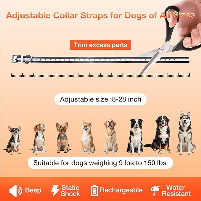 Electric Fence for Dogs, Rechargeable Underground Dog Fence with 656Ft Wire, 2 Waterproof Collar, Wired Dog Fence System for 1 Dog
