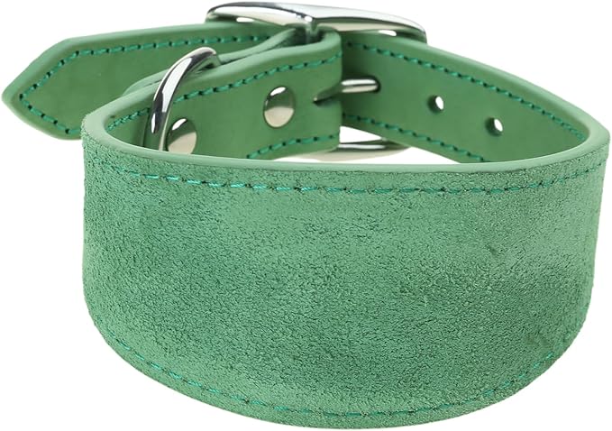Fashion Dogs Collar for Salukis Sighthounds Wide Padded Pet Accessories Dogs Supplies Supplies Accessories
