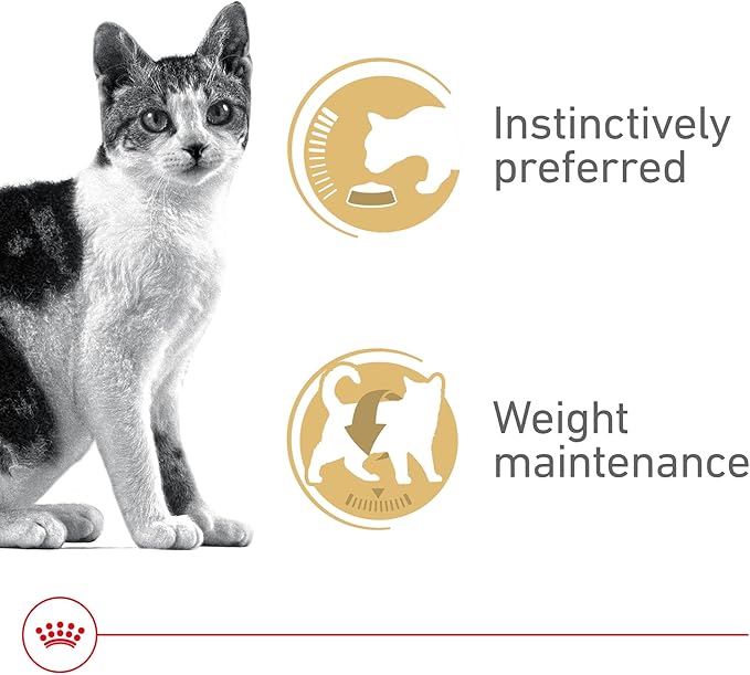 Royal Canin Feline Health Nutrition Adult Instinctive Adult Thin Slices in Gravy Cat Food, 3 oz (Pack of 12)