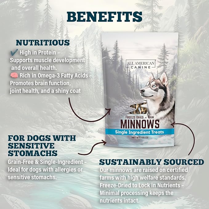 Freeze Dried Minnow Cat & Dog Treats 1.25oz – Single Ingredient Whole Fish - USA Raised High Protein Omega‑3 Training Snacks for Cats Kittens Puppies Dogs