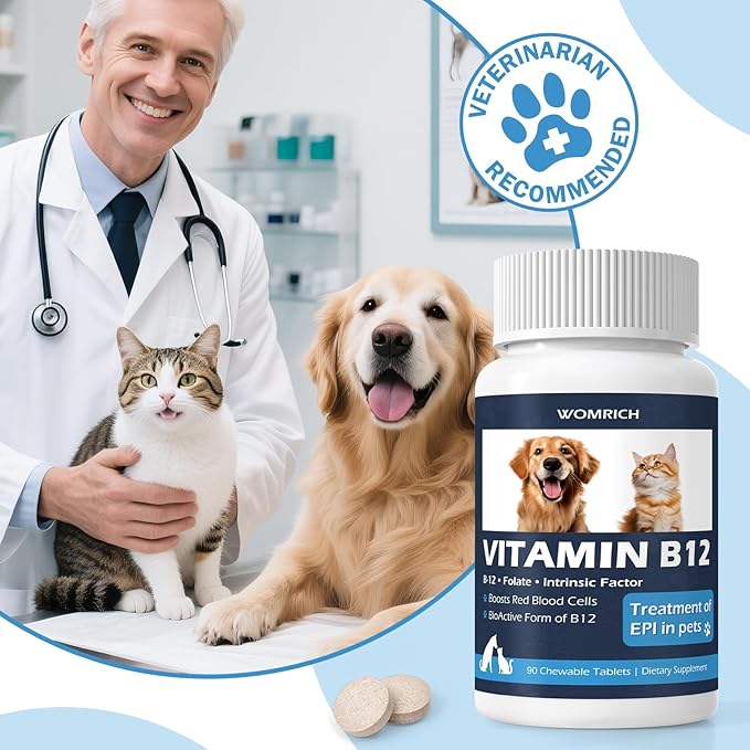Appetite Stimulant Vitamin B12 Tablets for Cats and Dogs – Methylcobalamin B12 – Treatment of EPI in Pets Supports Energy, Red Blood Cell Formation, Nervous System, and Appetite – 90 Tablets