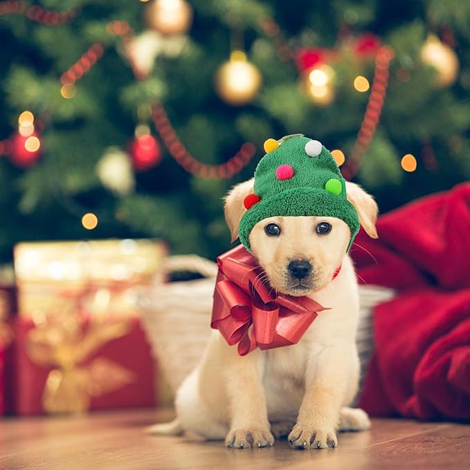 Dog Christmas Hat and Xmas Pet Hat with Pom-poms, Small Size Green Holiday Party Costume for Cats and Dogs, Festive Pet Supplies for Seasonal Celebration