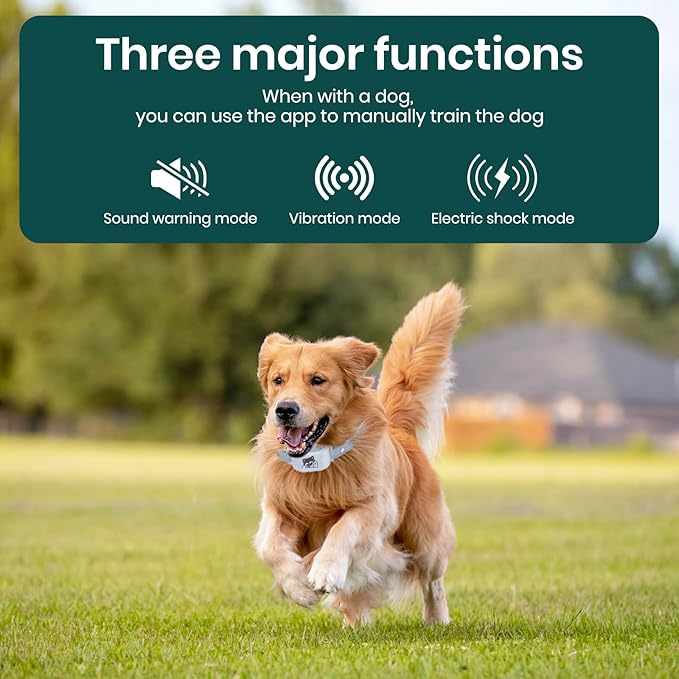 GPS Dog Fence with No Monthly Subscription, 1-Mile Range Wireless Dog Fence, Rechargeable Waterproof Collar with 3 Training Modes, Virtual Boundary for Medium & Large Dogs