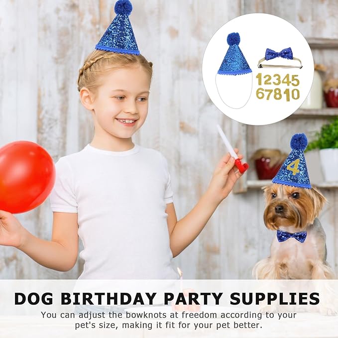 Pet Birthday Party Hat and Bow Tie Set with Sequins, Small Blue Plush Hat with Number and Sapphire Blue Bowknot for Puppy and Dog Party Supplies