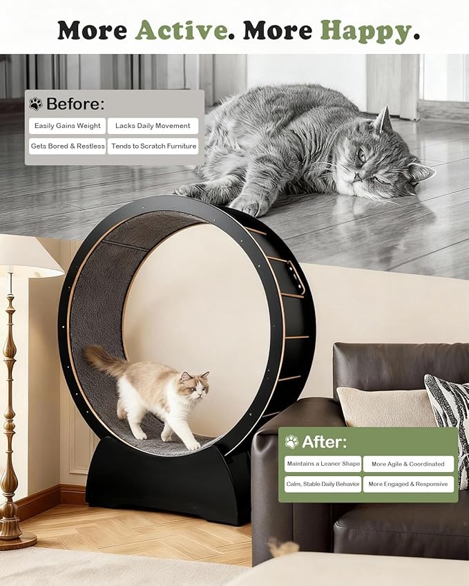 43.3" Cat Exercise Wheel for Large Indoor Cats, Black Cat Running Wheel with 2 Replacement Carpets, Silent Cat Treadmill with Locking Mechanism, Sturdy Cat Fitness Furniture for Cats up to 25 lbs