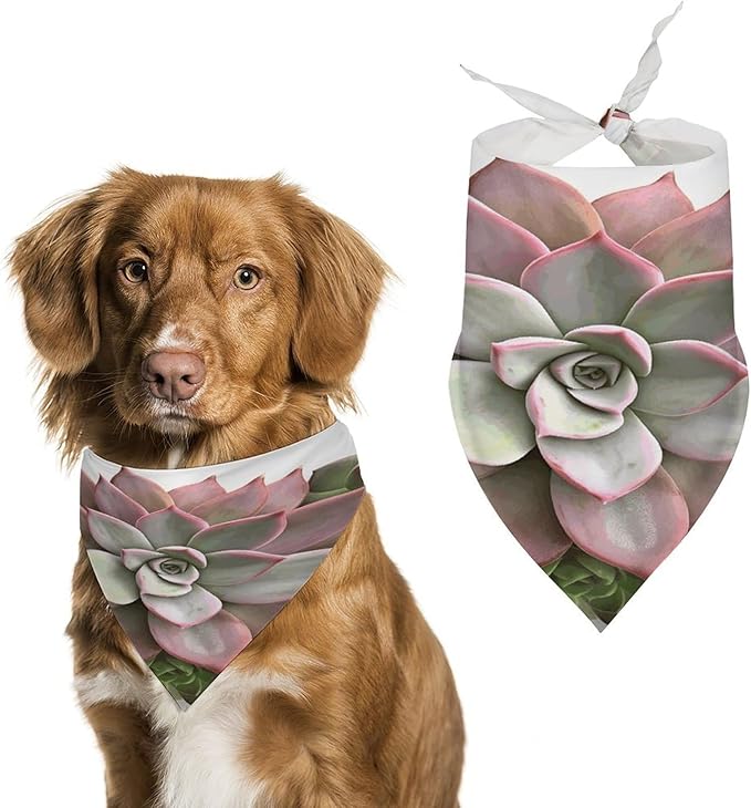 Dog Bandana Spring Pet Scarf Adjustable Triangle Succulent Botanical Printing Dog Bib Washable Polyester Puppy Bandana for Small Medium Large Dogs Cat Birthday Party Supplies