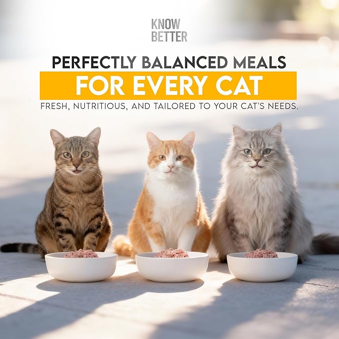 Know Better Chicken Recipe Premix for Raw Or Cooked Cat Food - Natural Supplies Meal Mix with Taurine for Cats - Indoor Cat Food, Raw Nutrition Meal, Feline Premix for Homemade Cat Food - 24 Oz