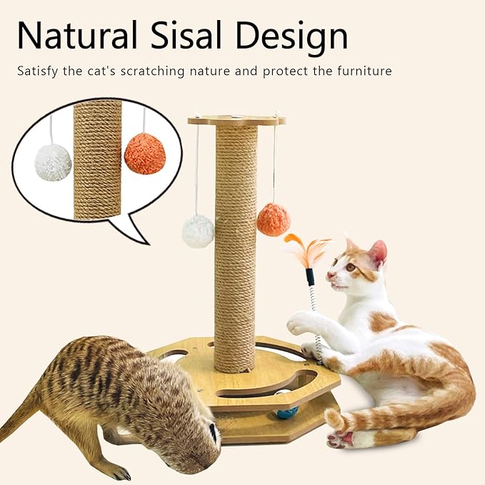 Cat Scratching Post, Scratching Post with Vertical Scratcher and Tracking Interactive Toy for Kittens