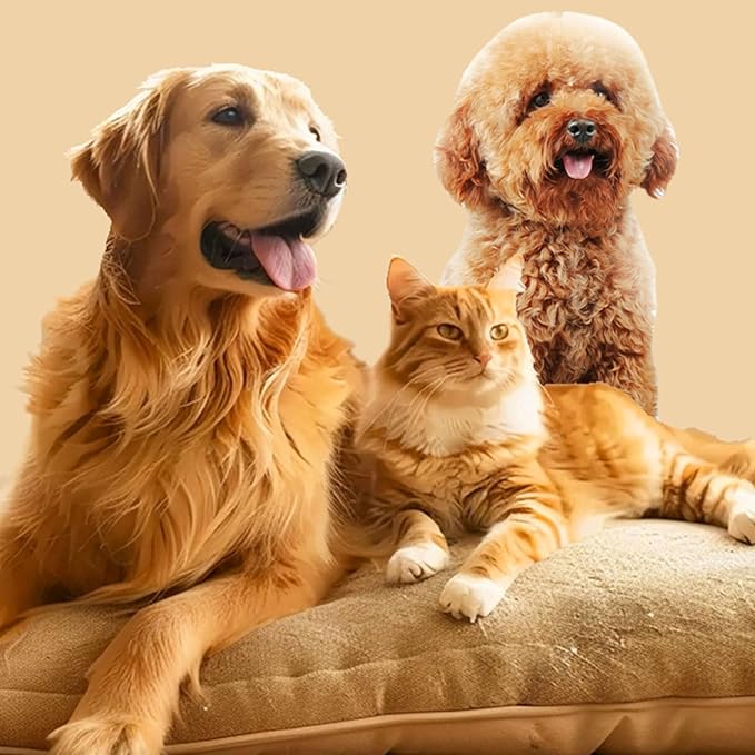 Canine Cats Grooming Brush Safely Remove Tangles Shedding Hair Remover Soft Rounded Edges Long Short Coat Care PET Shedding Comb