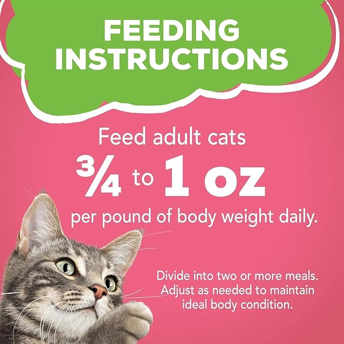 Friskies Purina Salmon Dinner Pate Wet Cat Food 5.5 Ounce (Pack of 12)