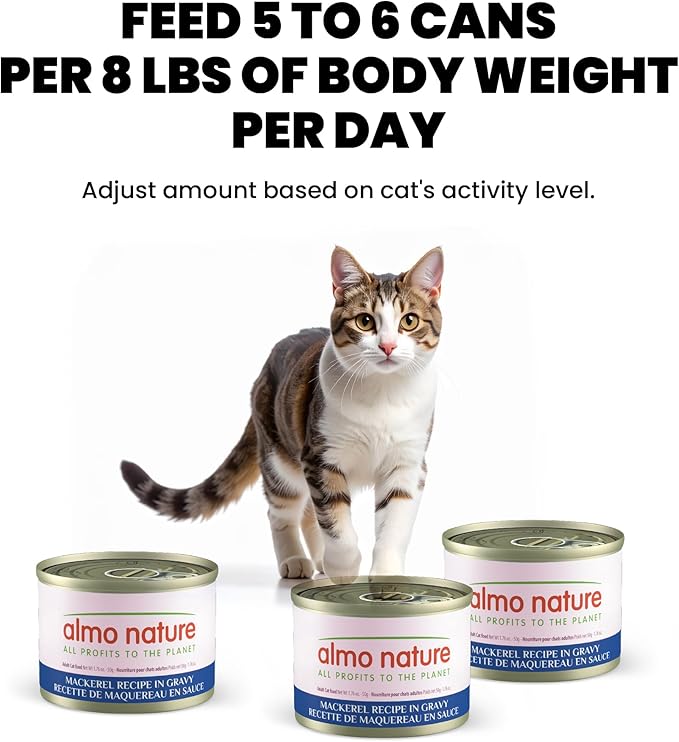 almo nature Supportive Formulas Cat Skin & Coat Support Formula HQS Flaked Mackerel in Gravy Wet Cat Food, 1.77-oz can, case of 6 (Pack of 4)