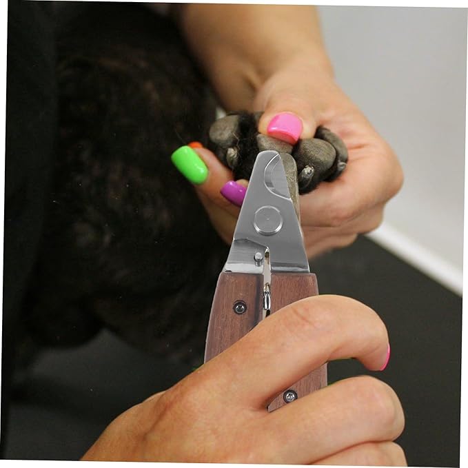 Pet Nail Clipper for Dogs and Cats Safe Use Stainless Steel Trimmer with Comfortable Grip Grooming Tool for Small Animals Non-Slip Handle Sharp Cutting Head