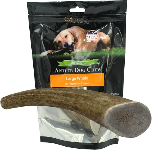 1-Pack Large Whole Elk Antler Dog Chews (6 to 9+ in) – Long Lasting Natural Dog Bones for Medium to Large Dogs (30–80 lbs) – Antlers for Dogs, Aggressive Chewers, Dental Chews