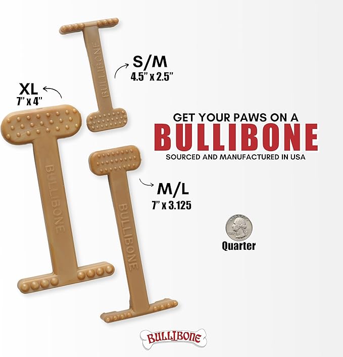 Bullibone Nylon Dog Chew Toy for Aggressive Chewers - Dental Hygiene Bone with Peanut Butter Flavor, Durable Tough Chew Toys for Small Dogs, Indestructible Dog Bone - 3 Pack