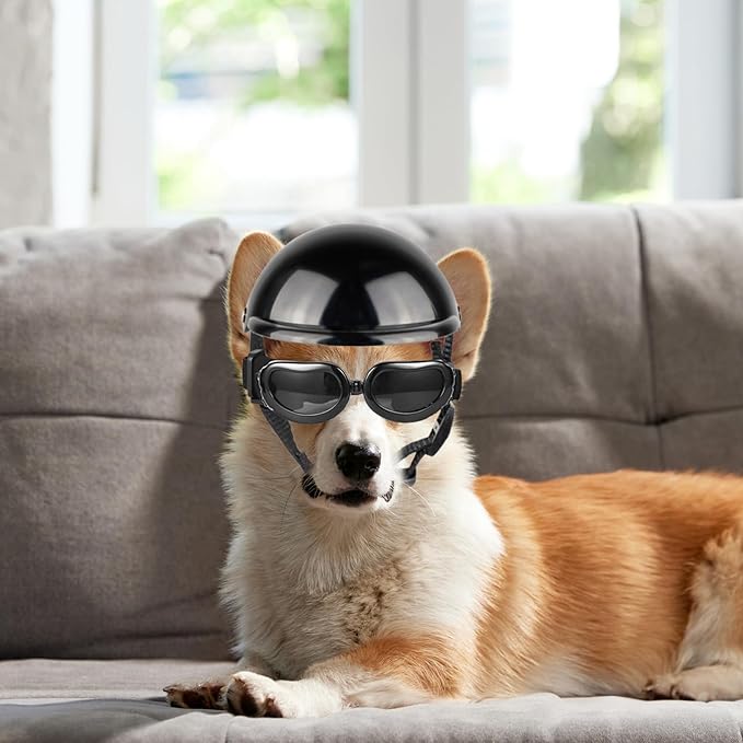 Dog Helmet and Goggles 2Pcs/Set Adjustable Chin Strap Dome Dog Helmet with Ear Hole Windproof Stylish Decorative Goggles Pet Supplies