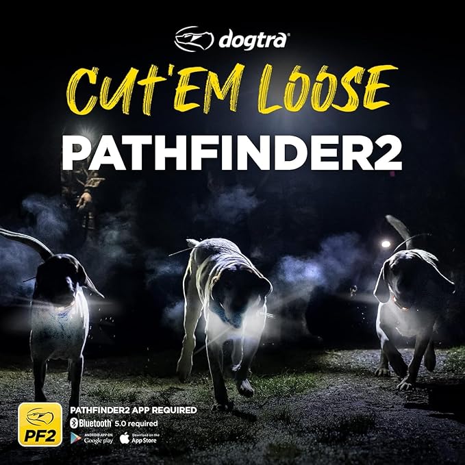 Dogtra 2 Dog Pathfinder 2 GPS Dog Tracker e Collar with PATHFINDER2 Green Add on Receiver LED Light No Monthly fees Free App Waterproof Smartwatch Control Long Range Multiple Dogs Smartphone Required
