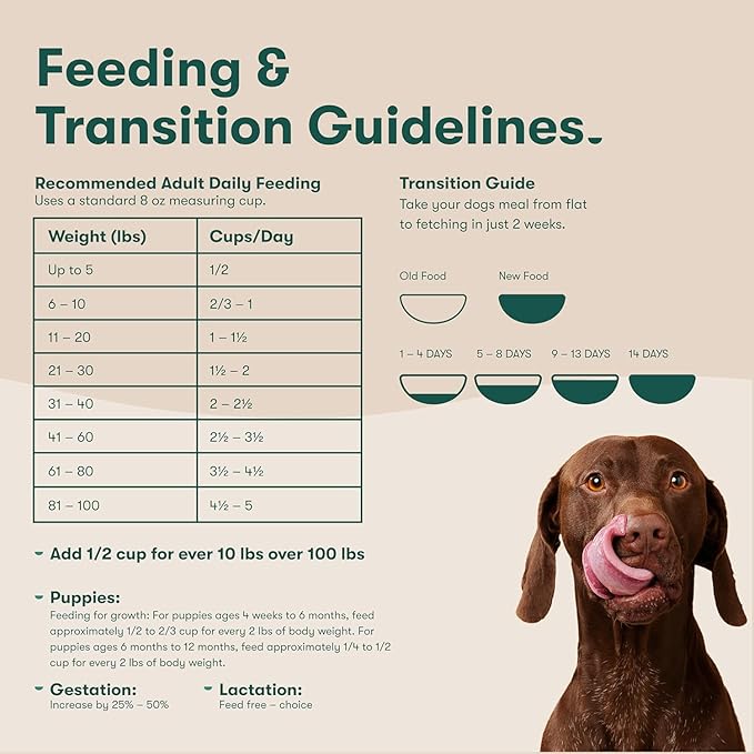 Jinx Dog Food Bundle - 11.5lb Salmon Dry Dog Food & 8-Pack Homemades Salmon & Chicken Wet Food Pouches (3-oz)