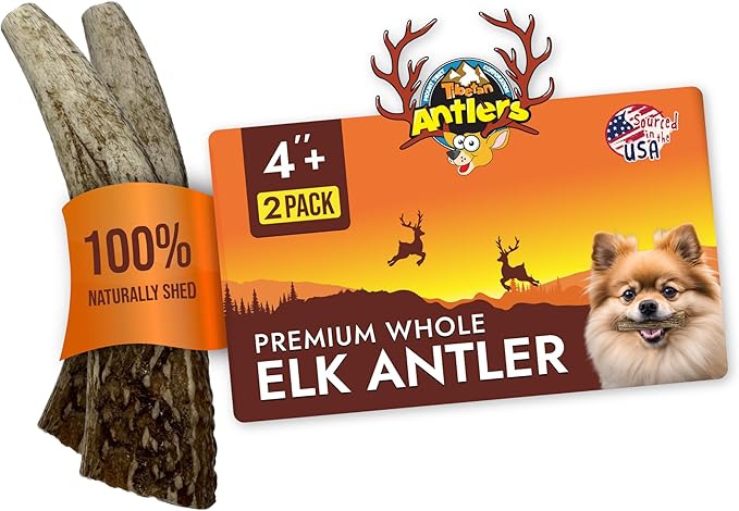 Tibetan Elk Antler for Dogs, Grade-A, 4"+ Premium Chews, Pack of 2, Naturally shed Healthy & Longer Lasting Aggressive chewers, USA Product Antler (Whole)
