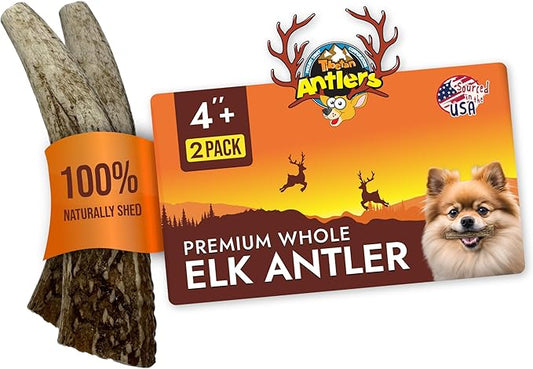 Tibetan Elk Antler for Dogs, Grade-A, 4"+ Premium Chews, Pack of 2, Naturally shed Healthy & Longer Lasting Aggressive chewers, USA Product Antler (Whole)